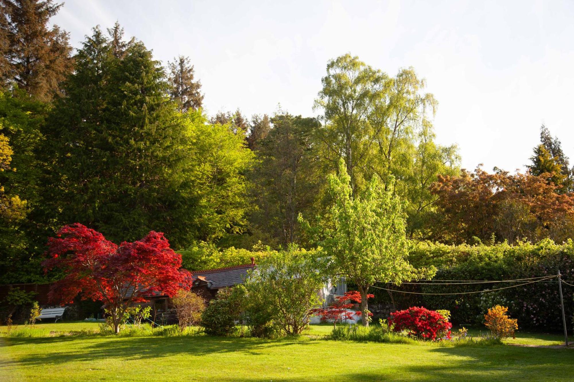 Drumfin Cottage Elgin Buitenkant foto